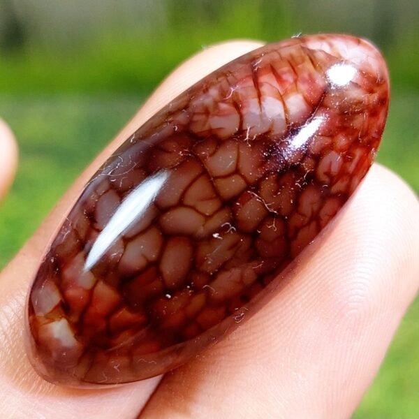 54.80 CT Gorgeous Red Dragon Skin Indonesian Chalcedony