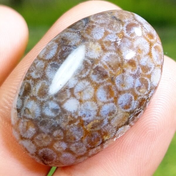 39.20 CT Untreated Beautiful Indonesian Honeycomb Motiff Agate - Image 2