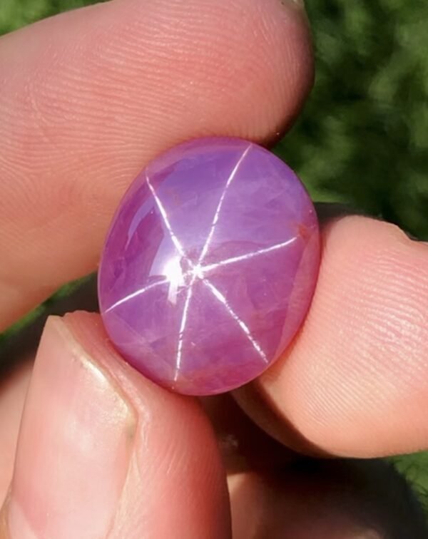 Certified Perfect Star Ruby 14.88CT Natural Top Quality Ruby Bruma