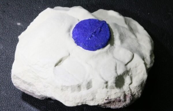 245 CTS RARE ARURITE 'SUN' SPECIMEN ON KAOLINITE -AUSTRALIA-[STS430]