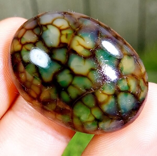 59.10 CT Gorgeous Green Dragon Skin Indonesian Chalcedony