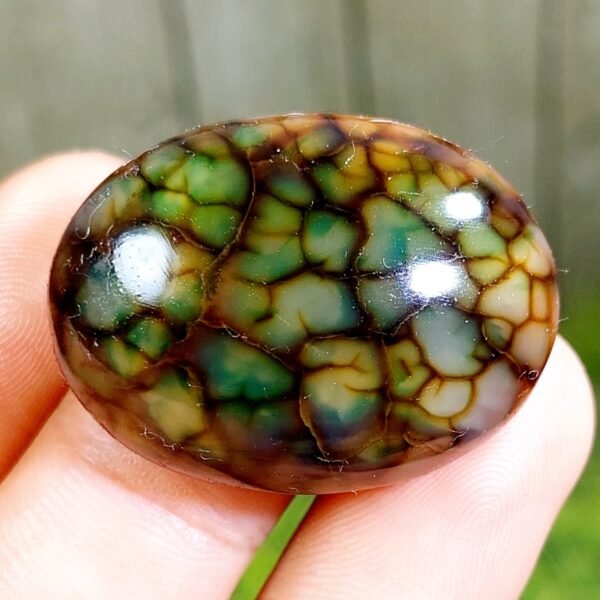 59.10 CT Gorgeous Green Dragon Skin Indonesian Chalcedony - Image 3