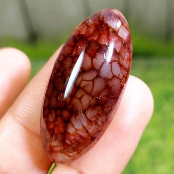 54.80 CT Gorgeous Red Dragon Skin Indonesian Chalcedony - Image 2
