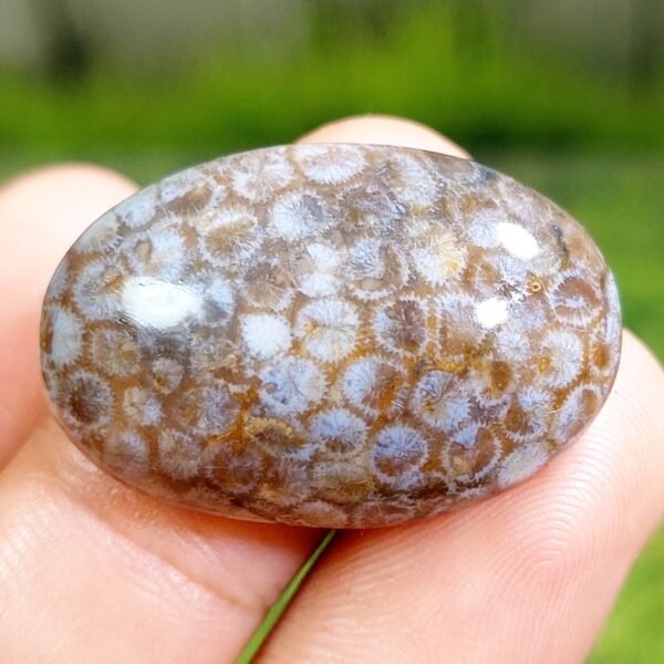 39.20 CT Untreated Beautiful Indonesian Honeycomb Motiff Agate - Image 3