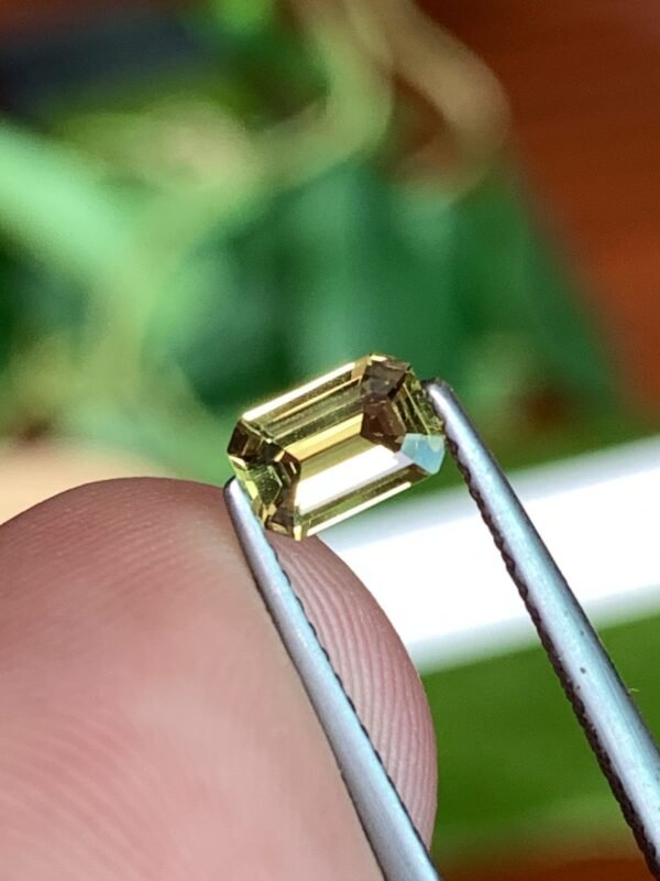 Certified Fine Grade Custom Cut natural Greenish yellow Sapphire 0.55 Cts