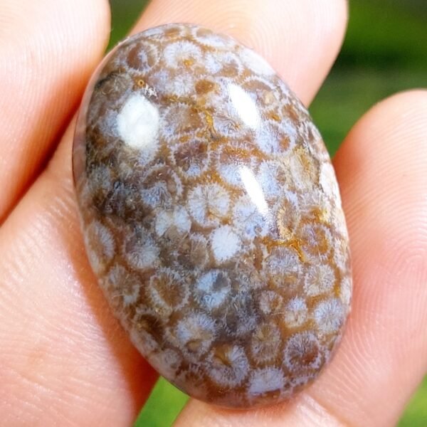 39.20 CT Untreated Beautiful Indonesian Honeycomb Motiff Agate