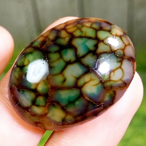 59.10 CT Gorgeous Green Dragon Skin Indonesian Chalcedony - Image 2