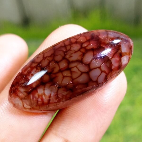 54.80 CT Gorgeous Red Dragon Skin Indonesian Chalcedony - Image 3